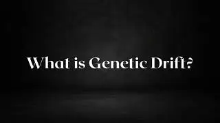 What is Genetic Drift?