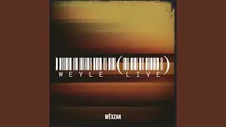 Wladi (Live)