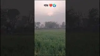 गांव ❤️ में सुबह 🌞 का मौसम #farming #desilife #Kisan#gaav #trending #shere #comment