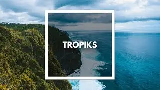 Dancehall Instrumental 2019 ''Tropiks'' [Afro Pop Type Beat] SOLD