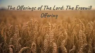 The Offerings of The Lord: The Freewill Offering