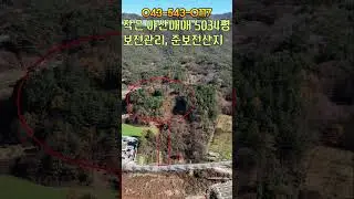 41113번 임야매매 4억5000만원 2차선도로 접한 밭같은 작은야산 보전관리지역 5034평 준보전산지 개발가능한 임야 보은ic 20분 #보은부동산 #괴산부동산 #충북부동산