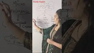 MSME | 3 Types of MSME | IMPORTANT FOR EXAMS | #exams #cbse #viralvideo