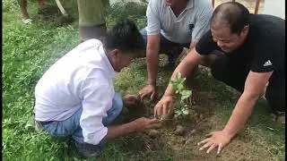 Environment day Minor Irrigation department