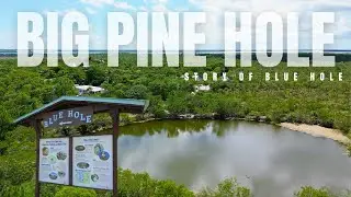 Blue Hole in Big Pine Key | History, Wildlife & Hidden Gem of the Florida Keys