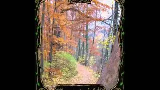 Folk Metal - Linnalapsi - Tyynt&auml; myrskyn edell&auml;