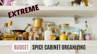 EXTREME SPICE CABINET ORGANIZATION | KITCHEN ORGANIZING | BUDGET #SPICEJARS #SPICECABINET