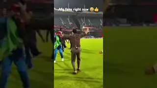 Afghanistan qualified for super 8 👍#viral #shorts #cricket #ytshorts