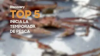 Top 5: Inicio de la temporada de pesca | Discovery Latinoam&eacute;rica