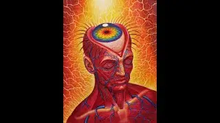 ALEX GREY - Omasta galleriasta