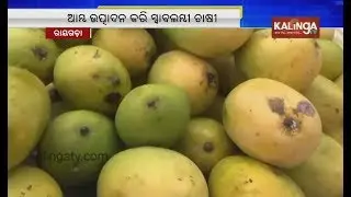 Rayagada's mango farmers express content over bumper sale of the fruit | Kalinga TV