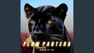Flow Pantera