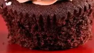 Treat Cupcake Bar - Needham, MA (Phantom Gourmet)