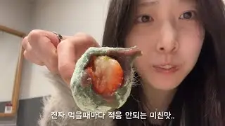 백수의 여수여행ㅣ가성비 숙소 추천