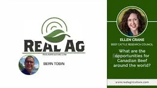 Price and traceability lessons learned in Canada&rsquo;s beef export markets
