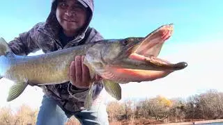 40 Inch Musky!!! Delaware River - 11 / 14 / 2025