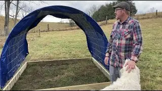 Easy Cheap Homesteader Livestock Shelter - under $100