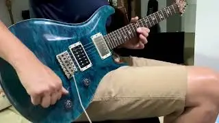PRS Custom 24 20th Anniversary Artist Stock - For Sale