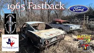 Rotting 1965 Mustang Fastback Found