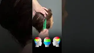 Sectioning for a Flawless Cut! ✂️Subscribe for more tips! #haireducation #haircuttutorial