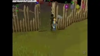 Pest Control With Arzonian!