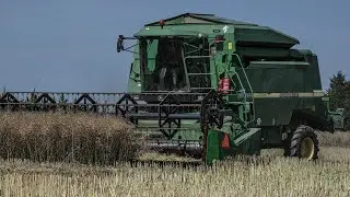 🔥Żniwa 2022🔥Rzepak pod Kose🔥4t/ha?!!🔥John Deere 2264🔥Gr Nowaczewscy🔥Lubelskie Team🔥