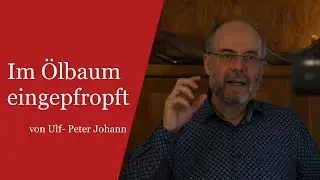 PREDIGT: Im &Ouml;lbaum eingepfropft | Elia Gemeinde Holstein