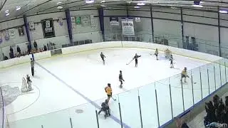 Mite Hockey Video