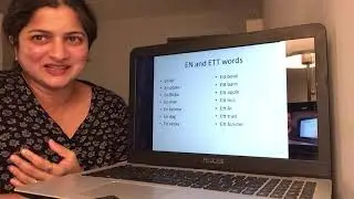 Learn Swedish in Hindi  Part 1: En and Ett words