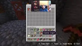 Minecraft: Lil Skirmin