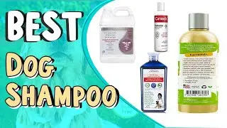 Top 5 Best Dog Shampoo I Top Rated Dog Shampoo | What is the Best Dog Shampoo?