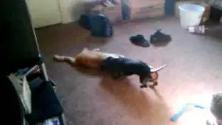 Krush vs. Captain two2