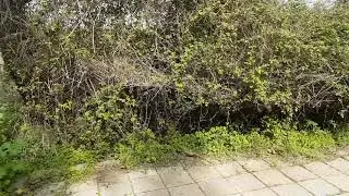 20190320 151459