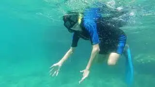 Snorkeling Isla Partida with our La Paz nephews.