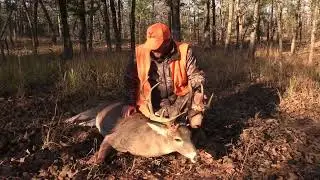 Wildlife Unlimited LLC Whitetail Hunting and Habitat Consulting