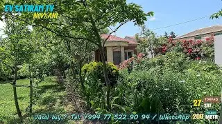 Novxanıda, Dənizdən 500 metr məsafədə 🌳