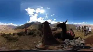 360 Llama Trek
