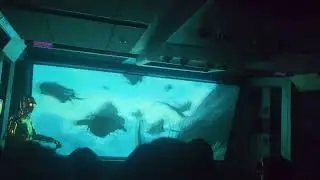 Звёздные туры: приключения продолжаются. Взгляд изнутри: Дарт Вейдер, Хот, Кассиан, Перидея. Дисн...