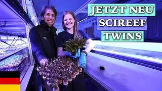 A piece of Hannes for your aquarium: new Scireef corals!