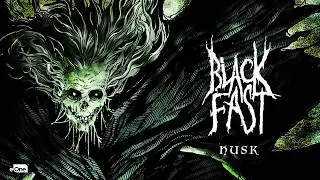 Black Fast - Husk