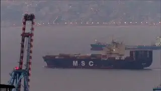 Container ship 🇱🇷MSC VIDHI🇱🇷, IMO 9238739, Flag Liberia, Length 277m x 40m, teus capacity 5.500 teus