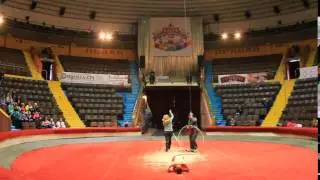 ДивоЦирк 20160422 110606 DIP 5335