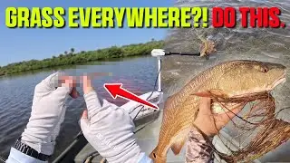 How I Catch Redfish in Thick Grass (Even When It Feels Impossible)