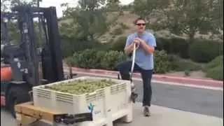 Clos LaChance Winery: 2014 Blessing of the Grapes