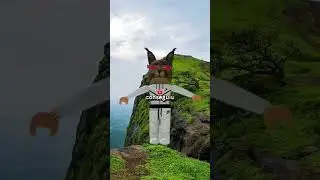 20 de janeiro de 2026