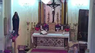 Live dalla parrocchia Ss. Pietro e Paolo di Copparo
