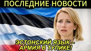 Русский язык в НАТО – почему армия Эстонии трещит по швам?