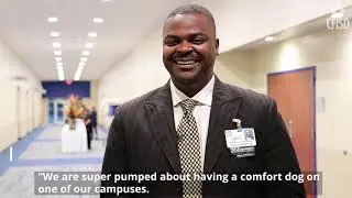 CFISD Comfort Dog
