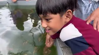 Cimory Dairyland Puncak 