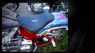 Exotic Skin Motorcycle Seats Ideas and Inspiration